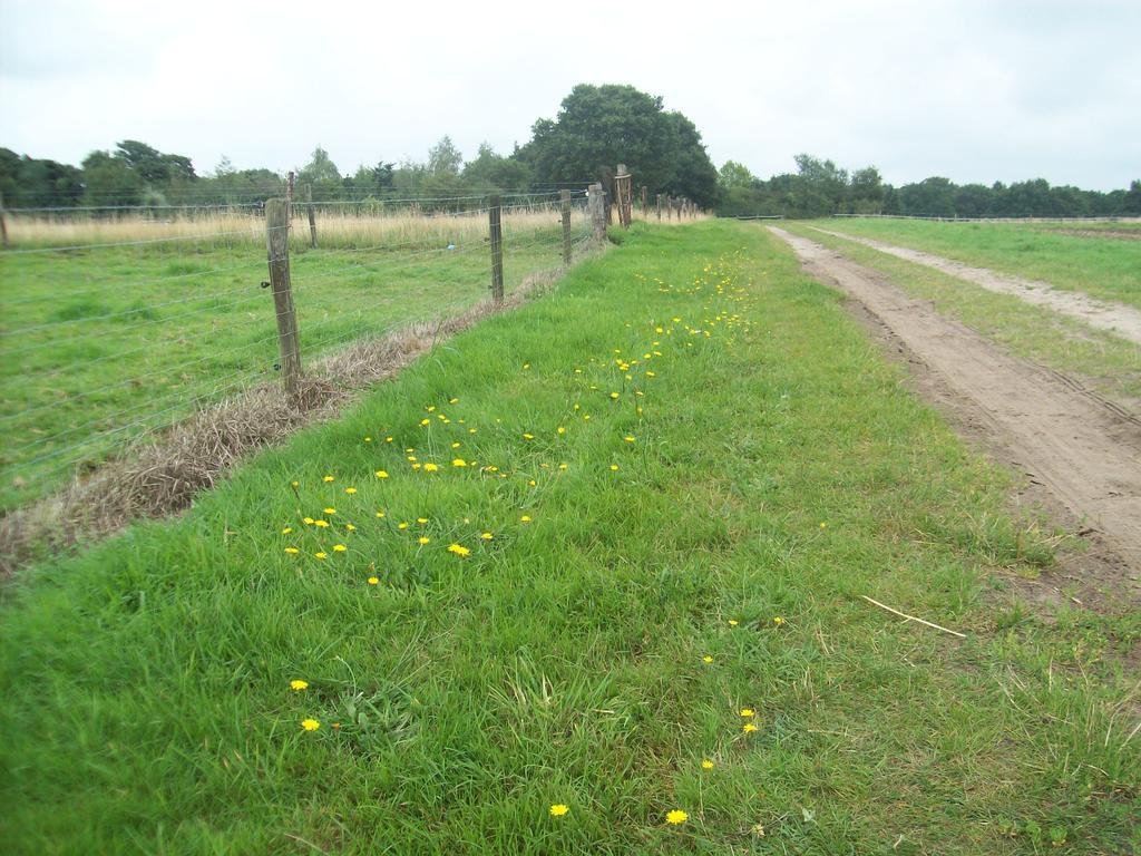 Wapen Van Exloo Exterior foto